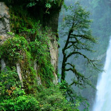 Explorando las Joyas Acuáticas de Ecuador: Las Mejores Lagunas